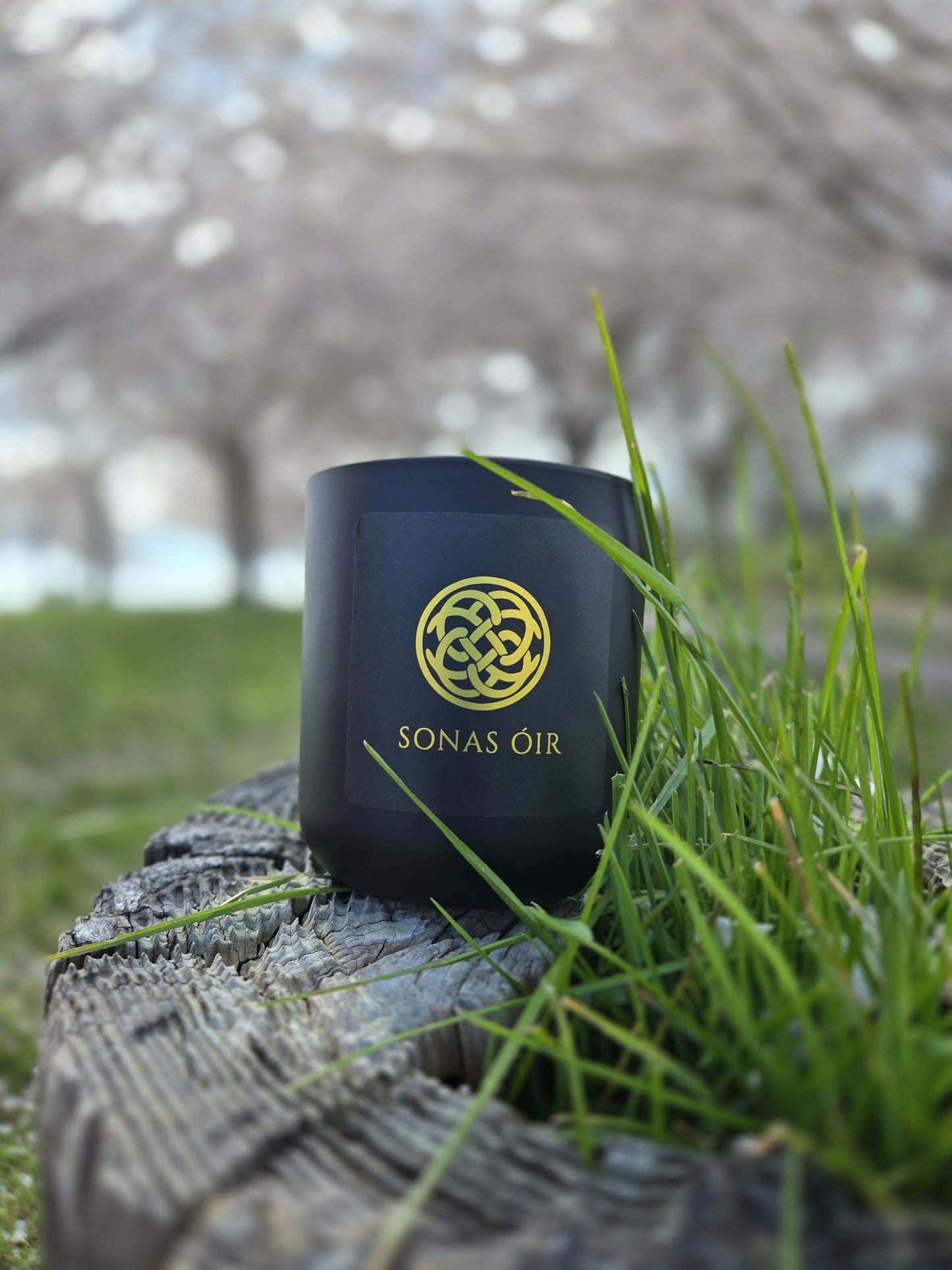 Niamh - Gardenia, Tuberose, Sea salt, Orchid